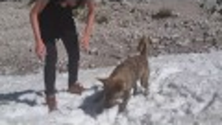 Wiley Meets Snow